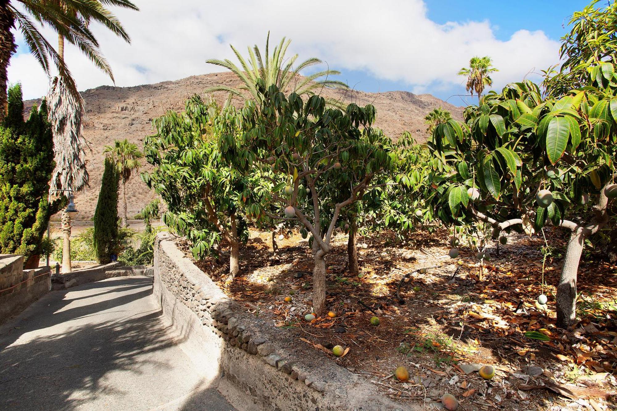 Casa Paraiso Del Molinero Casa vacanze *