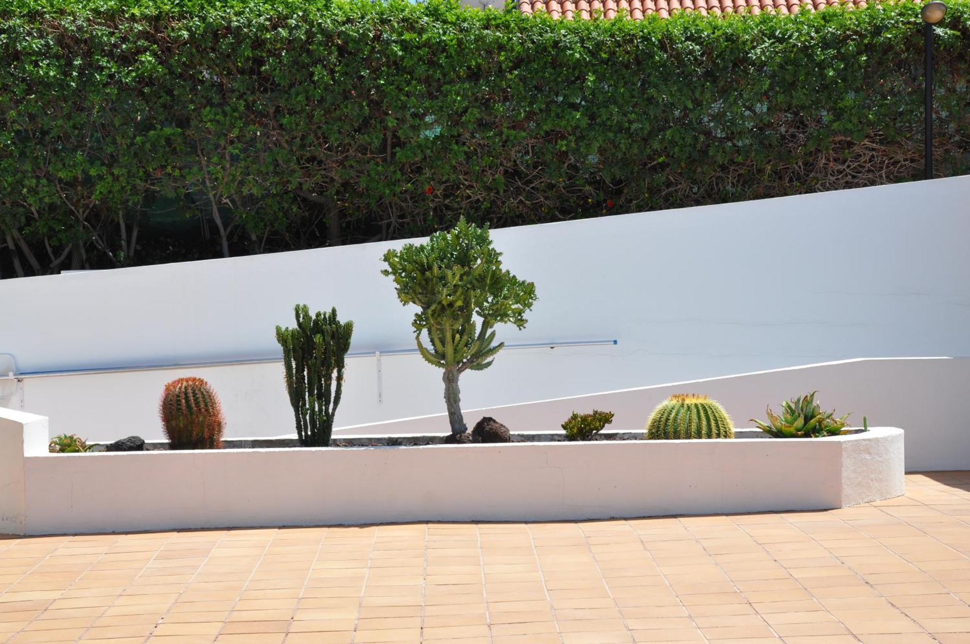 Appartamento Serenity Garden Maspalomas (Gran Canaria)