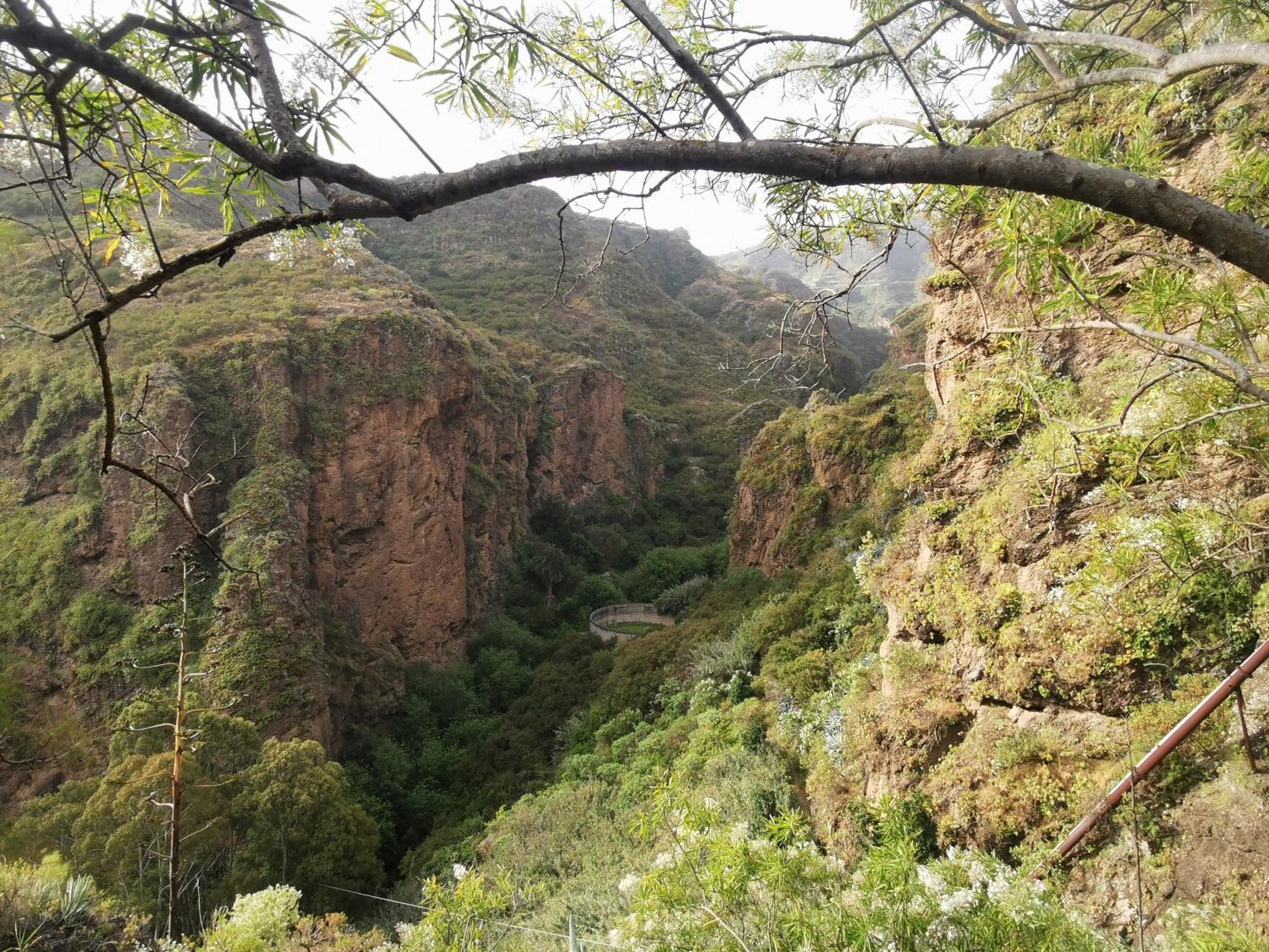 Eco In Paradise Valley Azuaje * Firgas