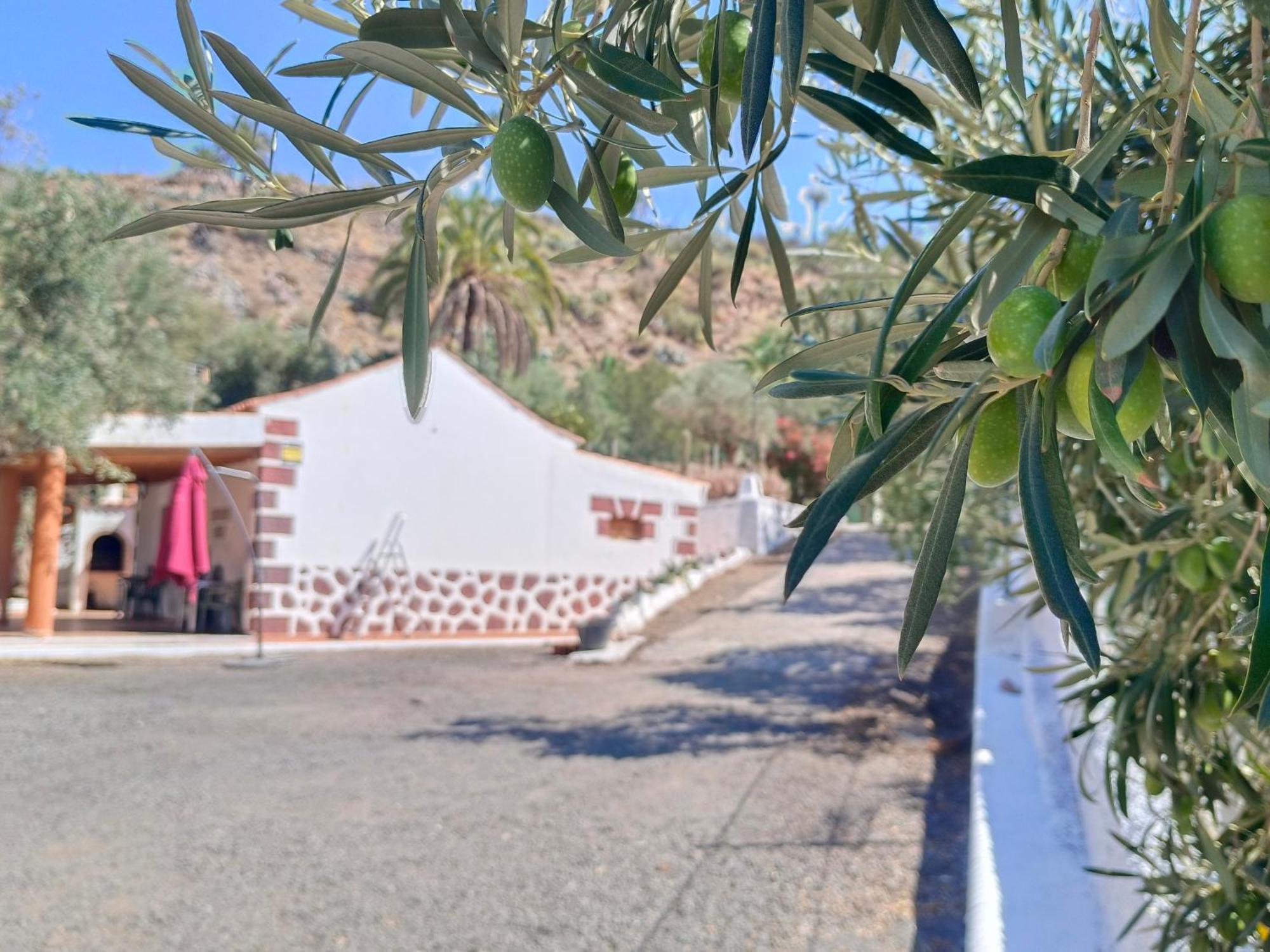 Farm stay El Vergel *