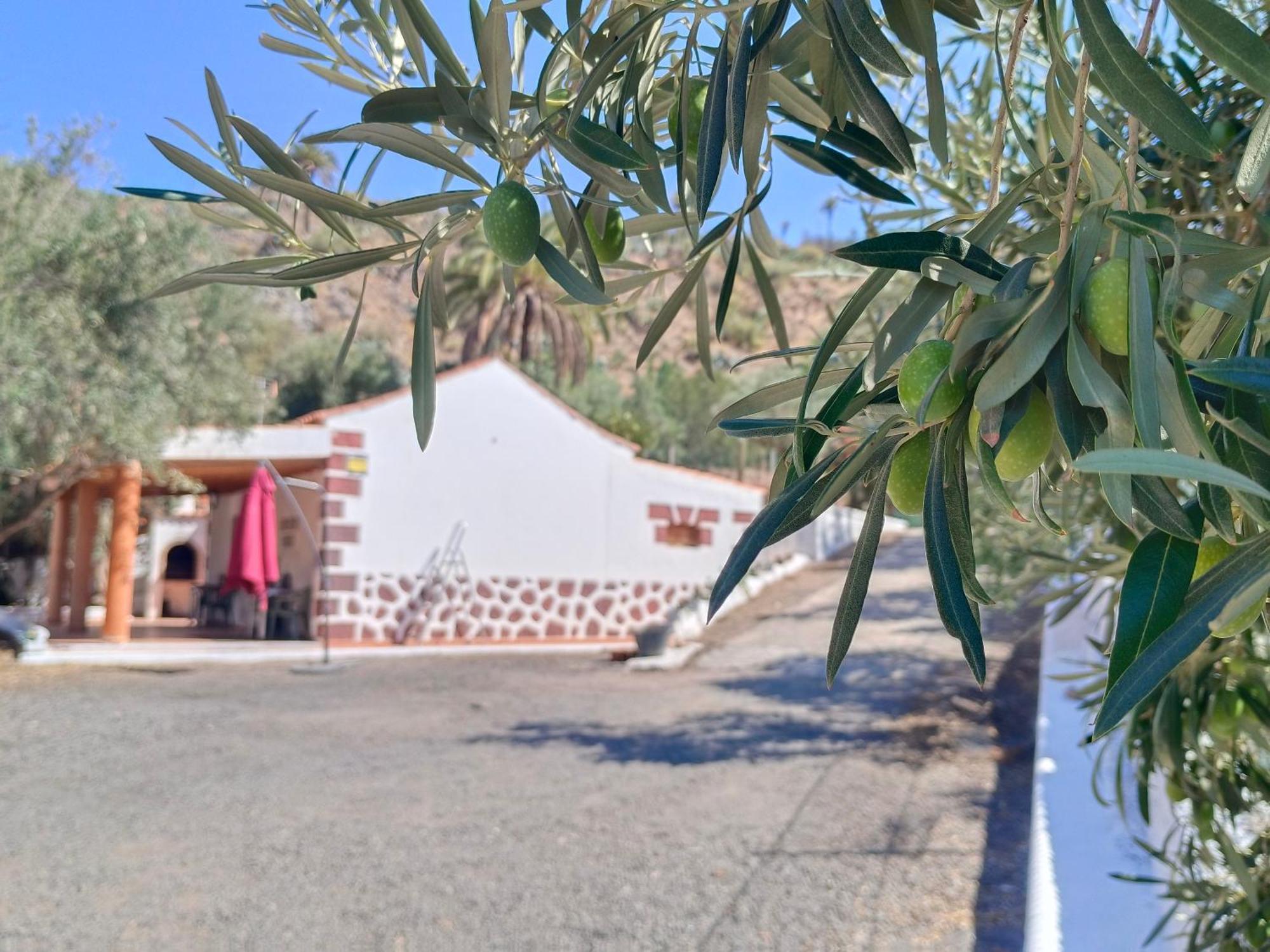 El Vergel