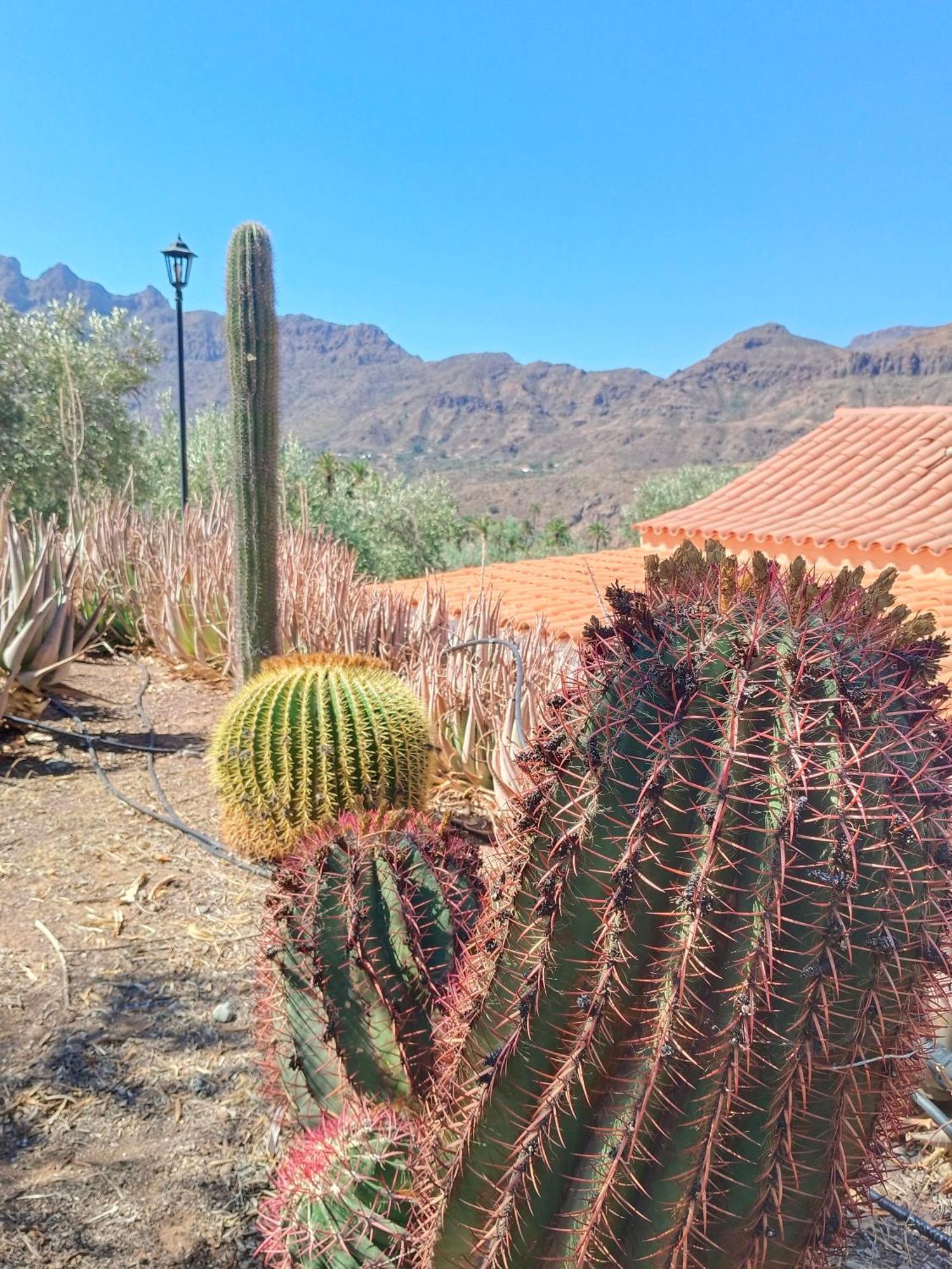 Farm stay El Vergel *