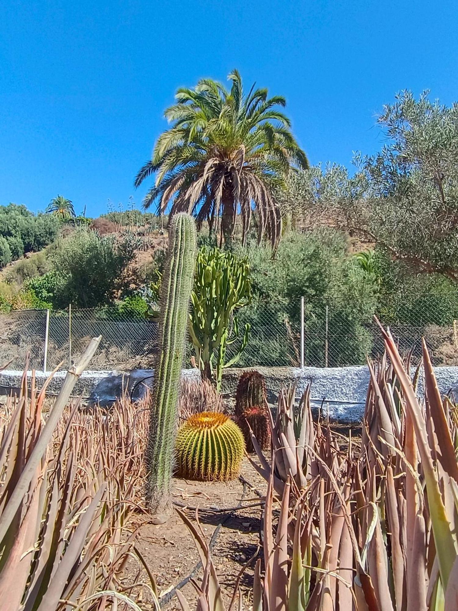 Farm stay El Vergel