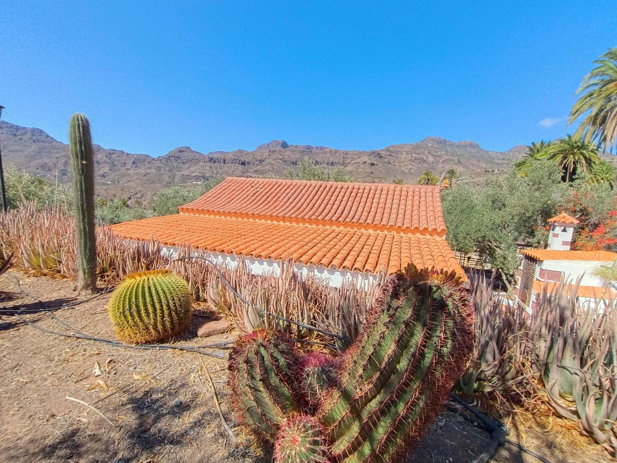 Farm stay El Vergel Santa Lucia De Tirajana