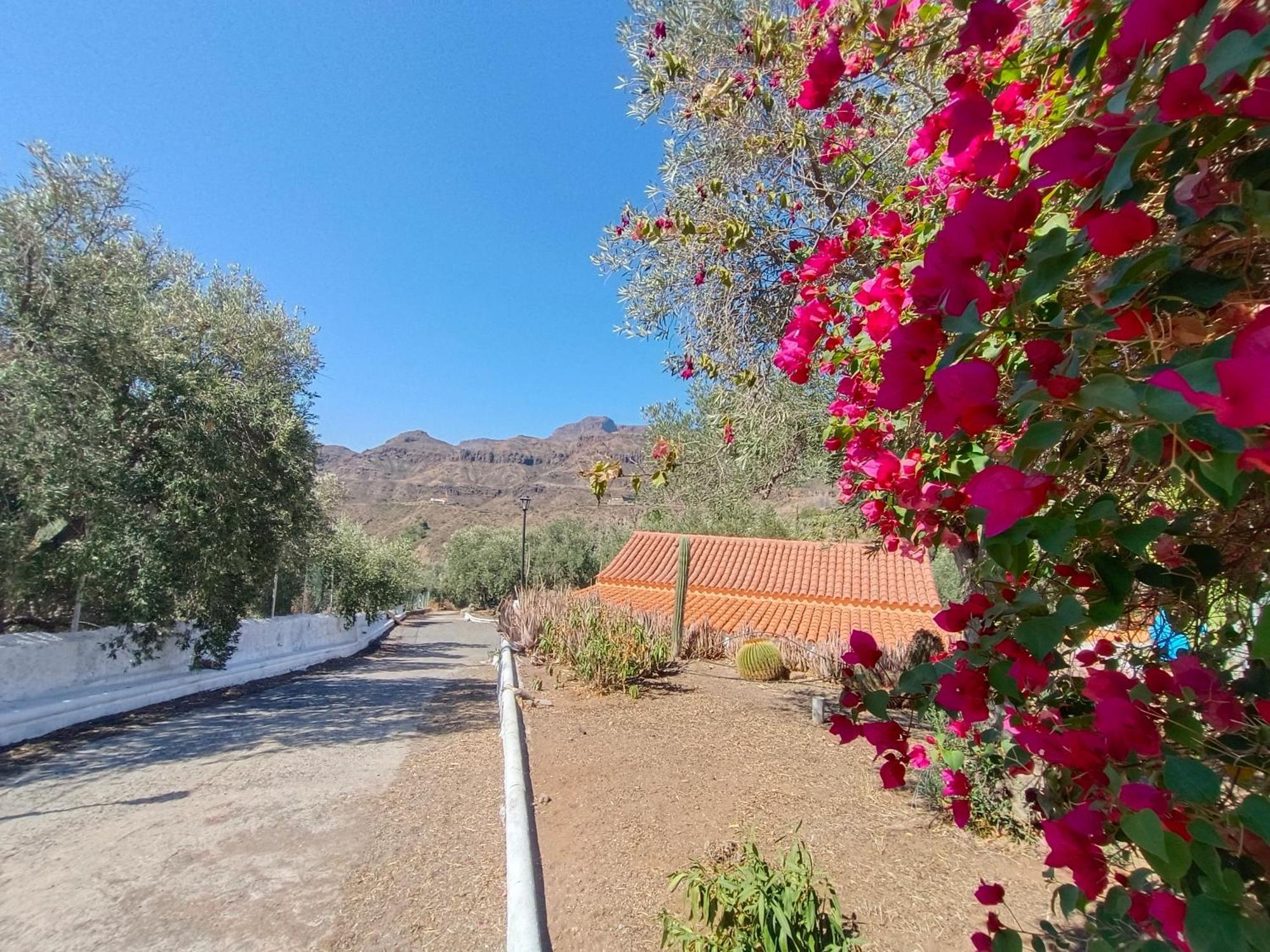 Farm stay El Vergel