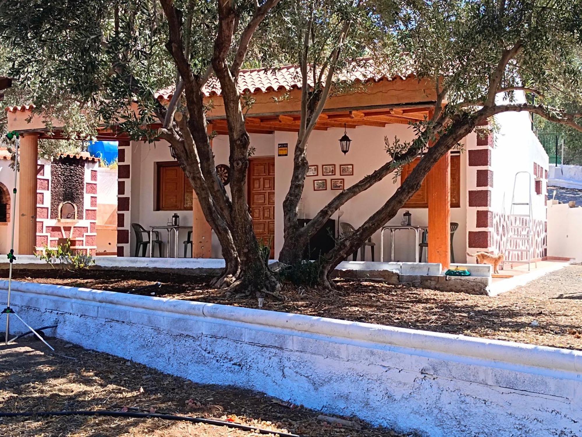 El Vergel Farm stay Santa Lucia De Tirajana