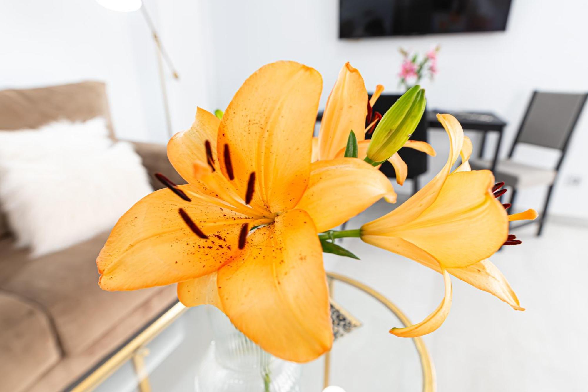 Sun&beach En Canteras Apartment Las Palmas de Gran Canaria