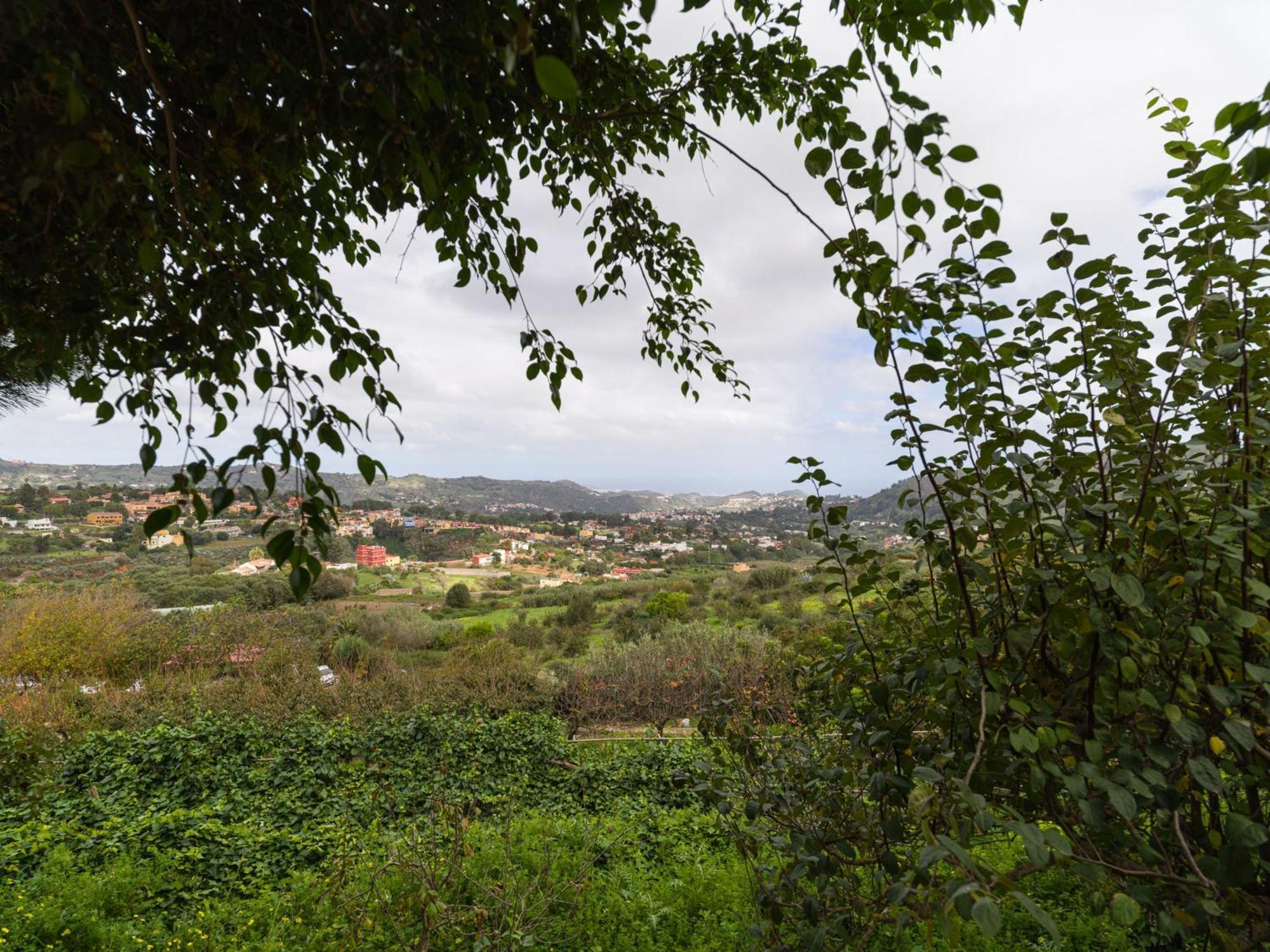 Live El Parral - Preciosos Bungalow Con Piscina Privada Y Zona De Ocio * Santa Brígida