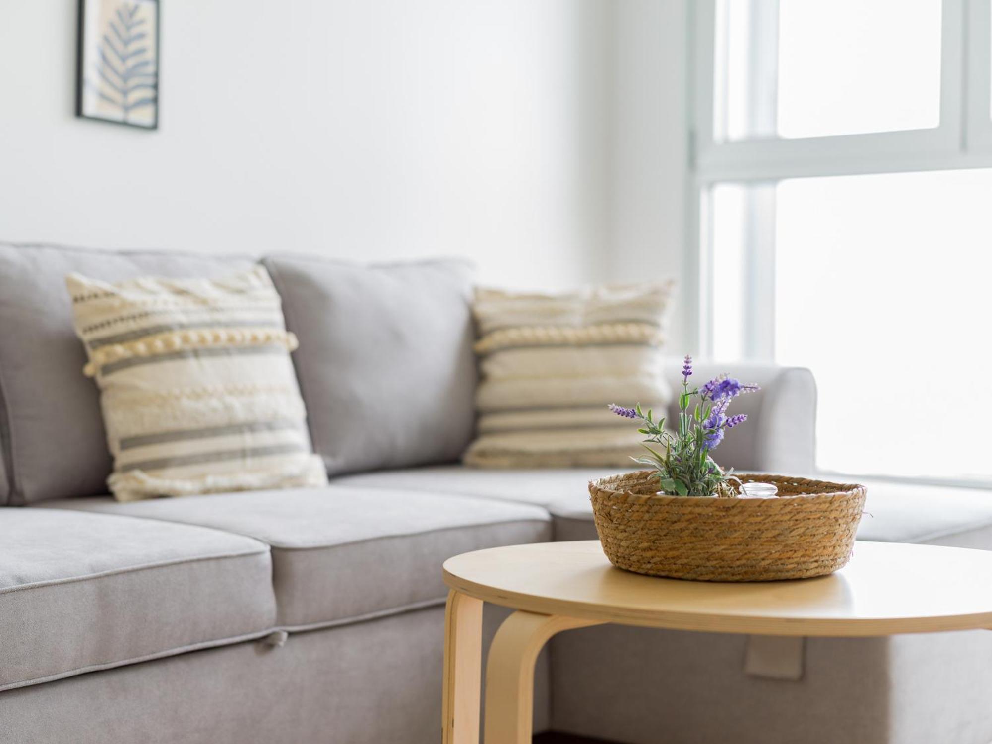 Apartment Sofia Navarro P2 7d