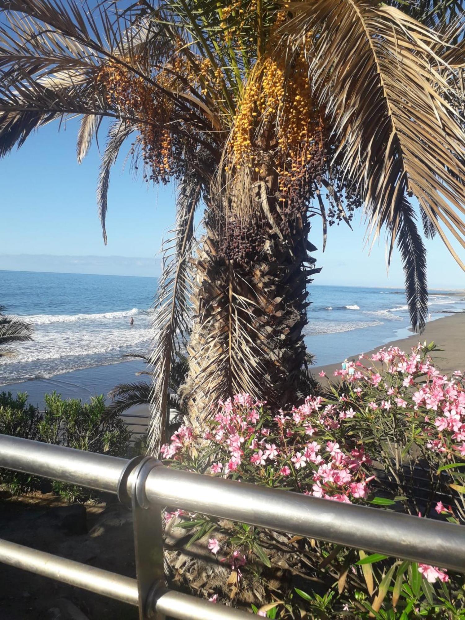 San Agustin On The Apartamento