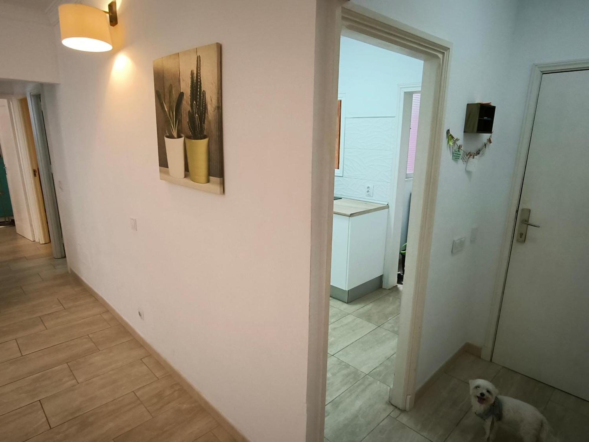 Apartamento Casa Tinko