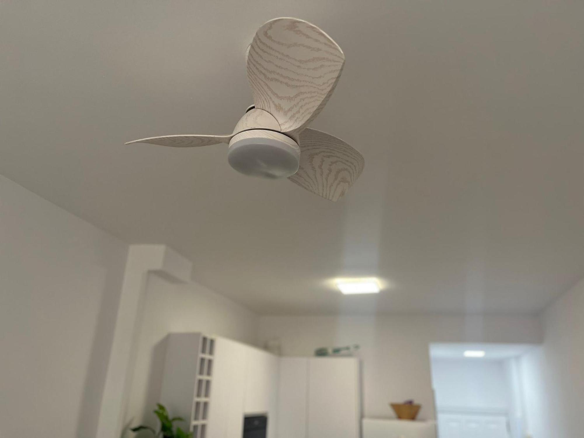 Apartamento Mirlo Canteras