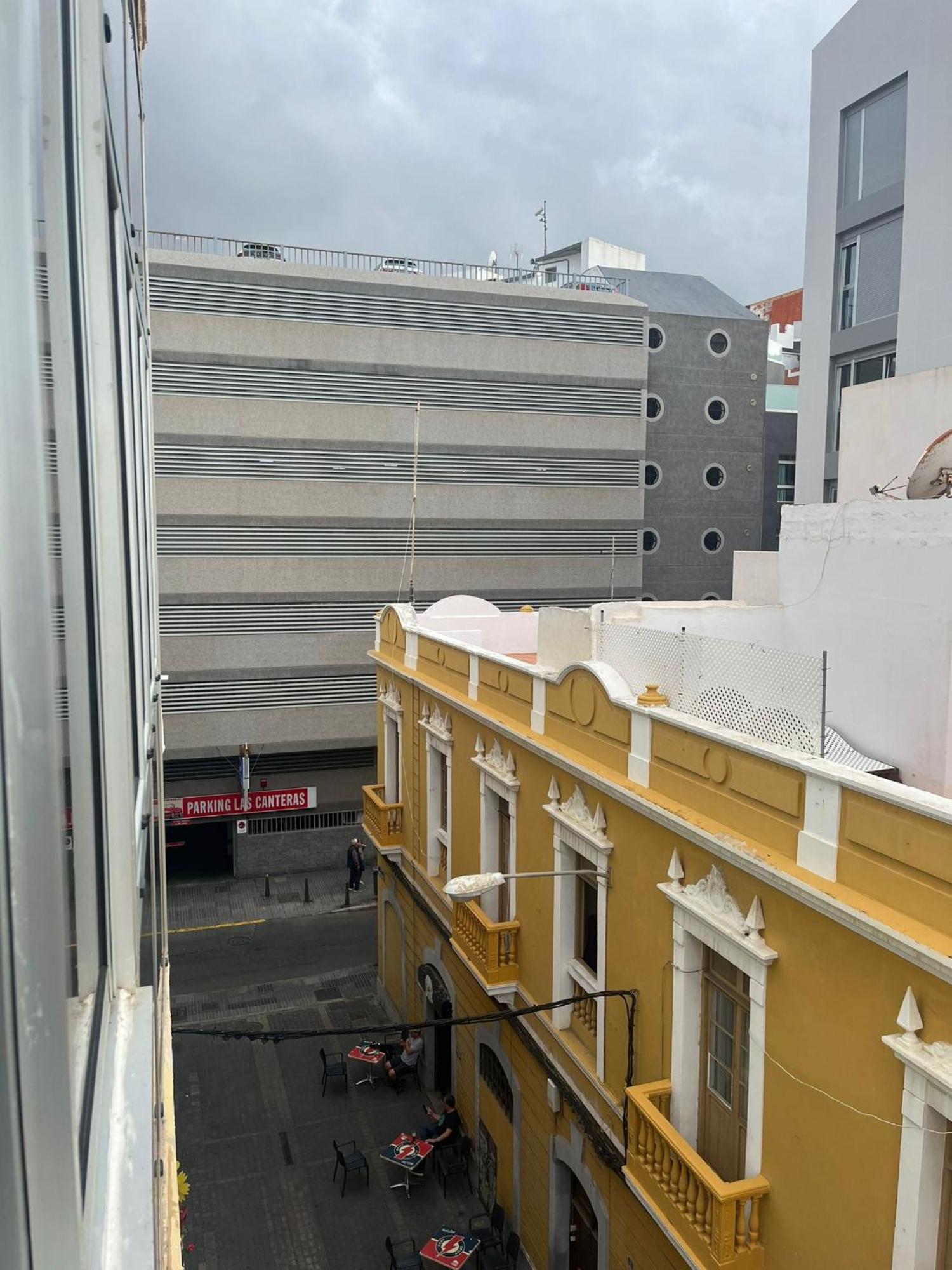 Mirlo Canteras *