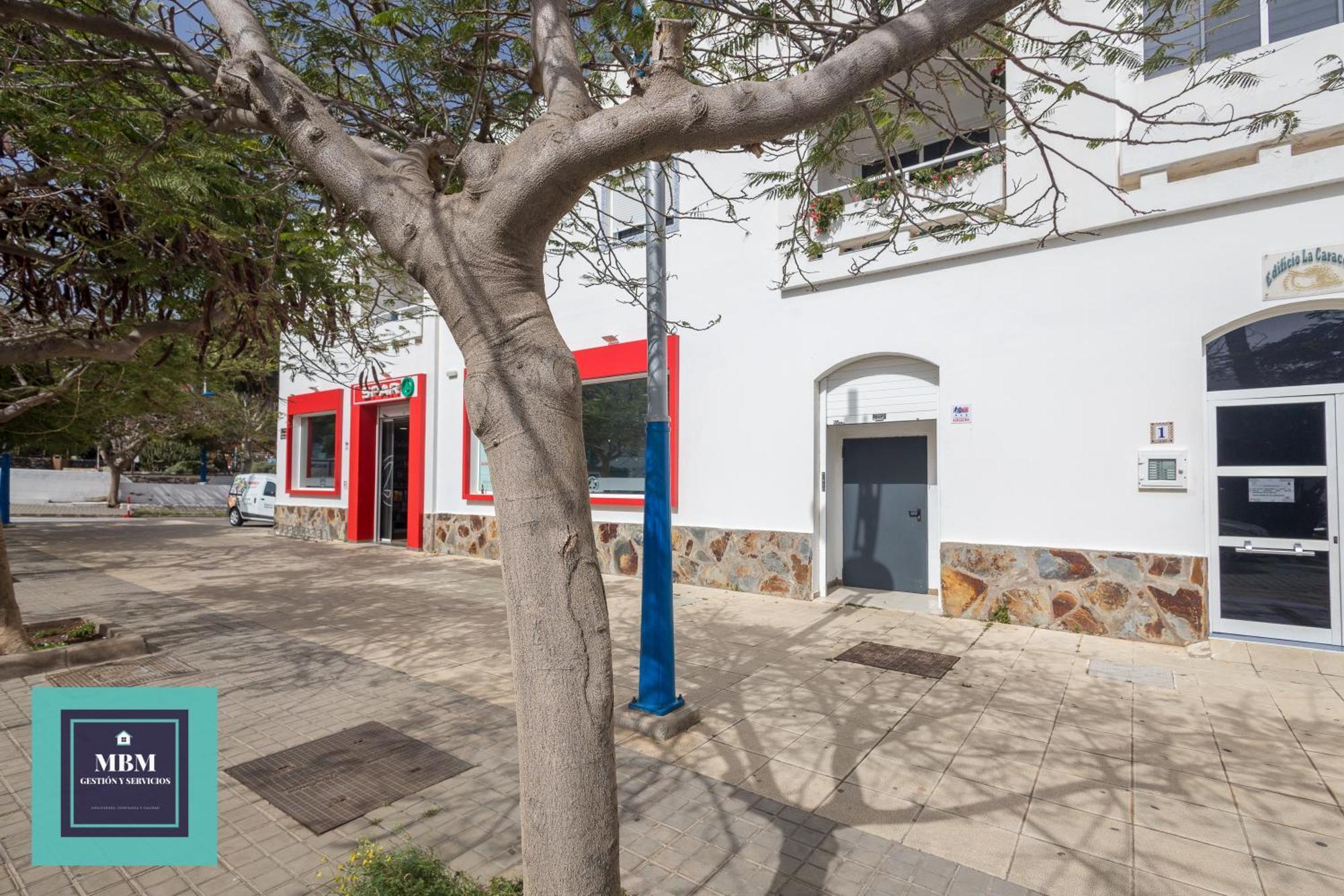Paqui Vacacional Agaete (Gran Canaria)