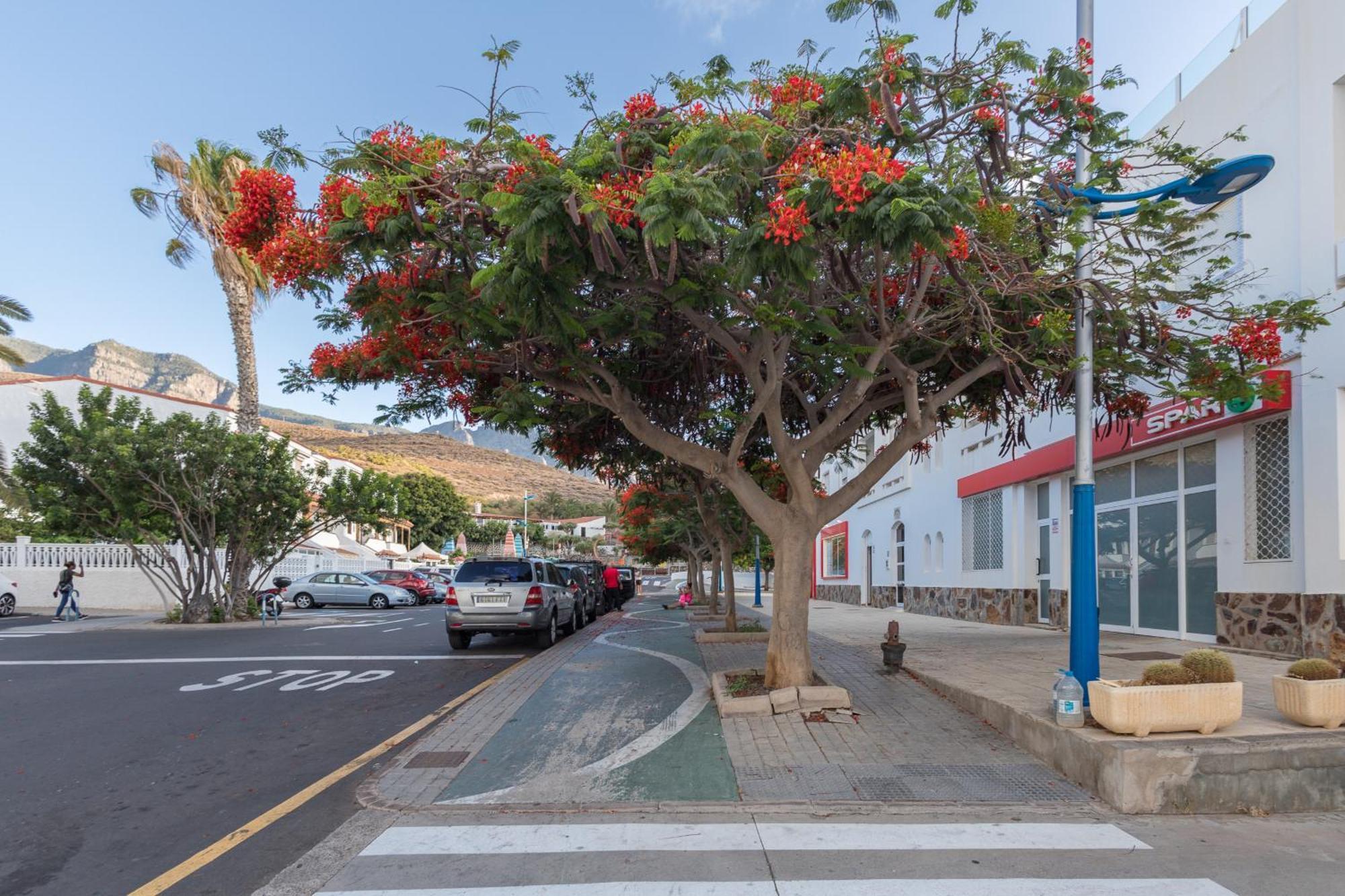 Residencial La Palmita Agaete Con Piscina Appartamento