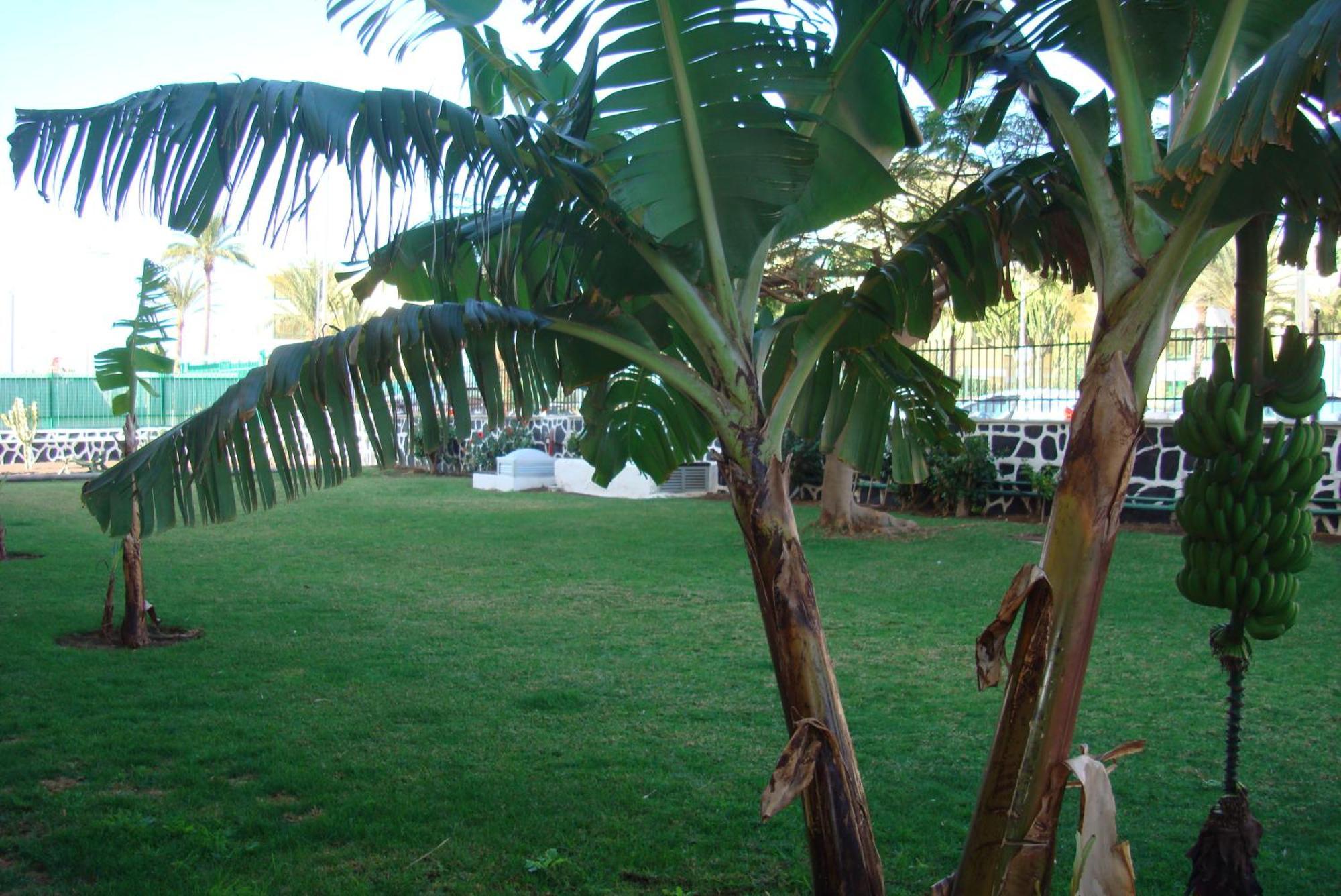 Appartamento Cactus *
