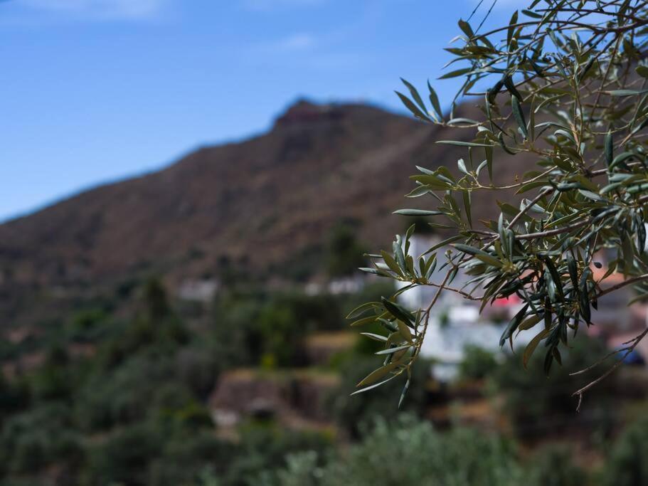 Holiday home Casa Perilla Temisas