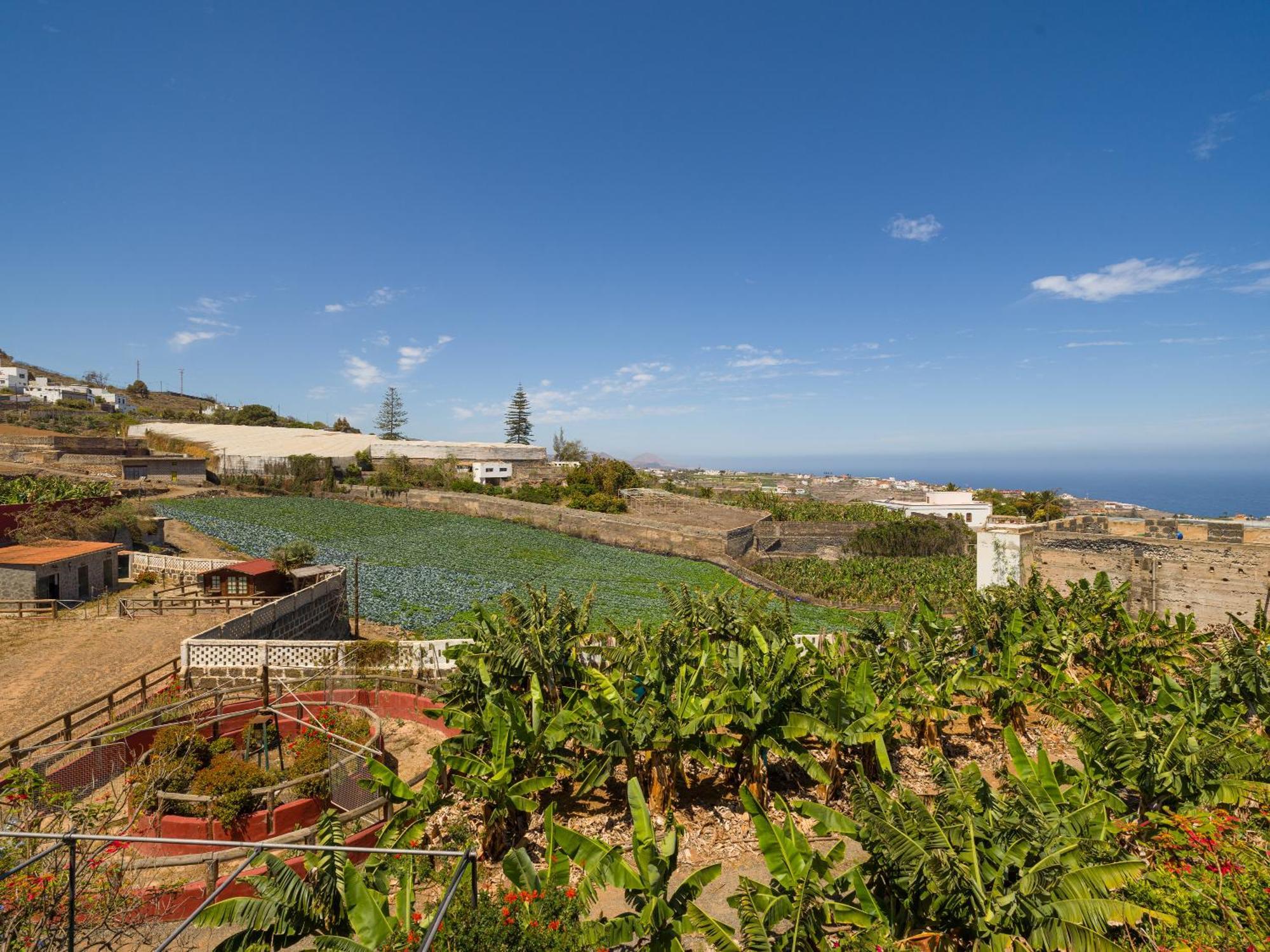 Villa With Pool And Sea Views In Banana Plantation *