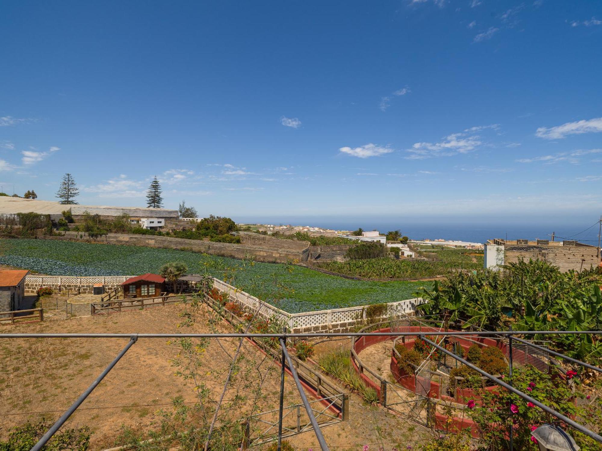 With Pool And Sea Views In Banana Plantation Villa Arucas