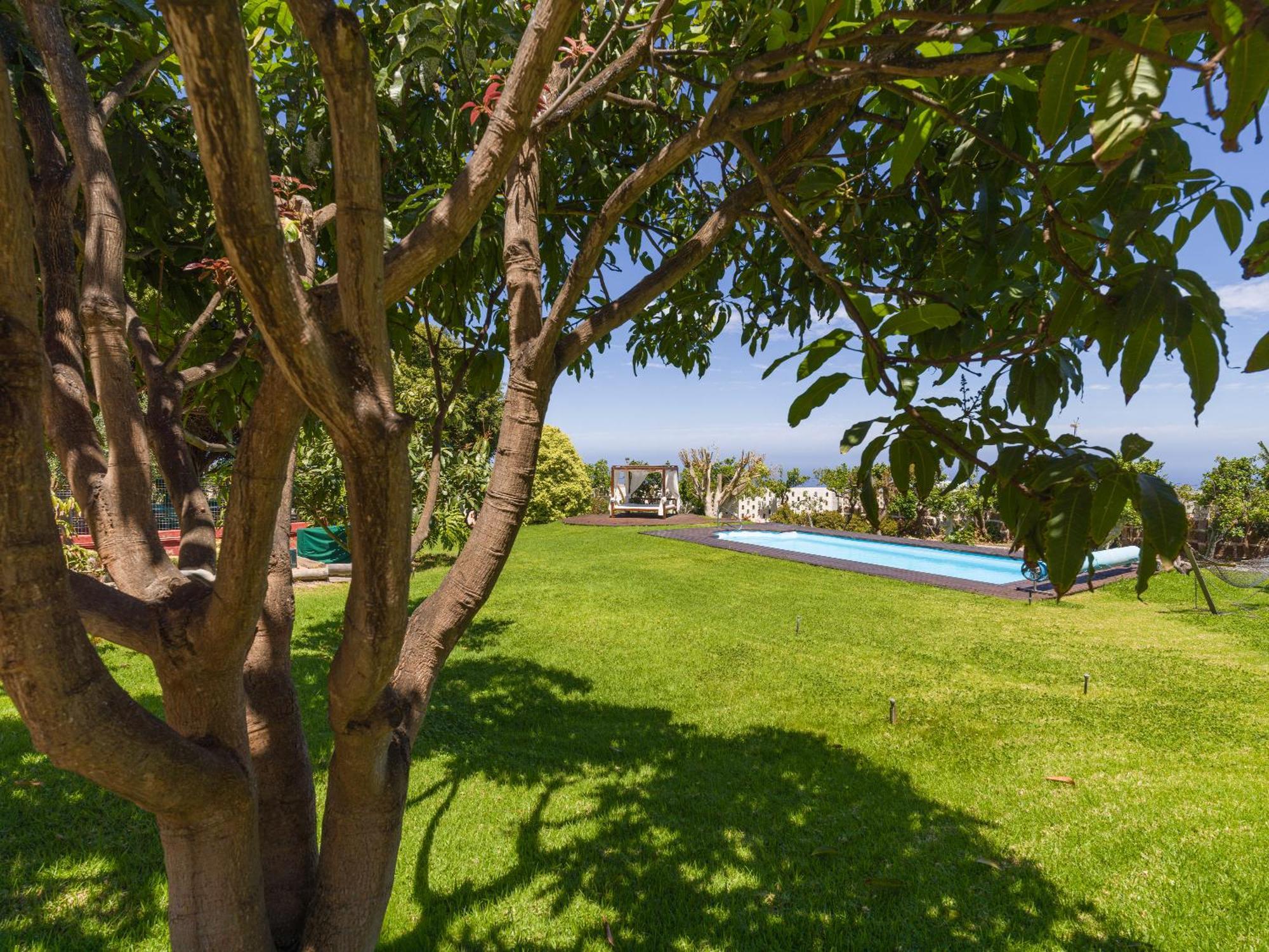 With Pool And Sea Views In Banana Plantation * Arucas