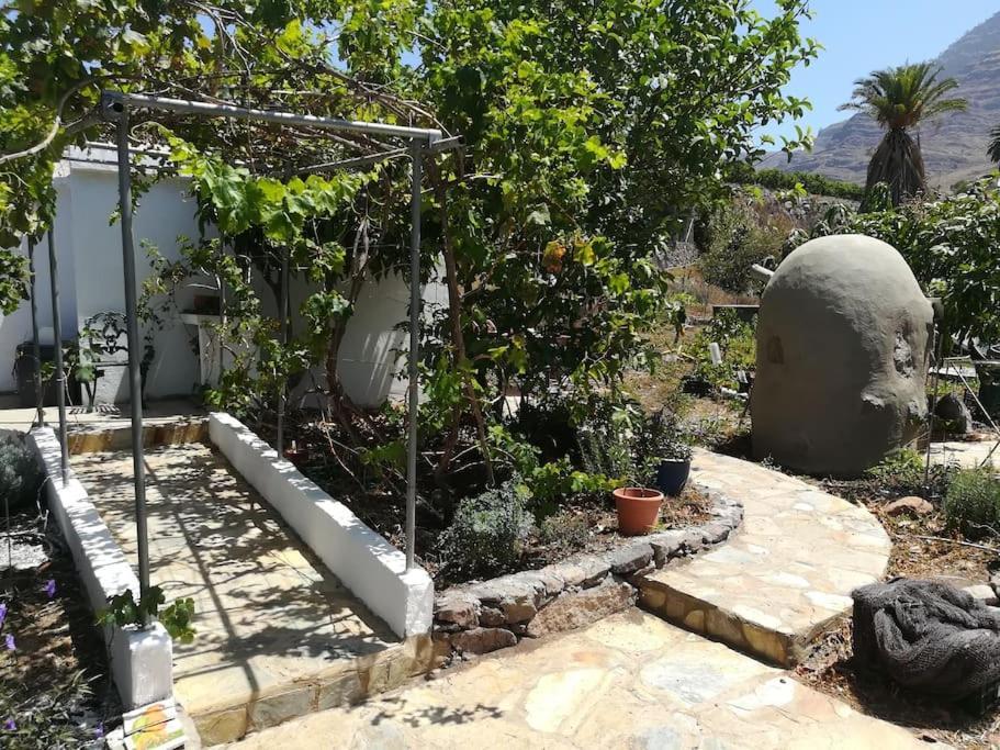 Auf Oeko-finca Apartamento Mogán