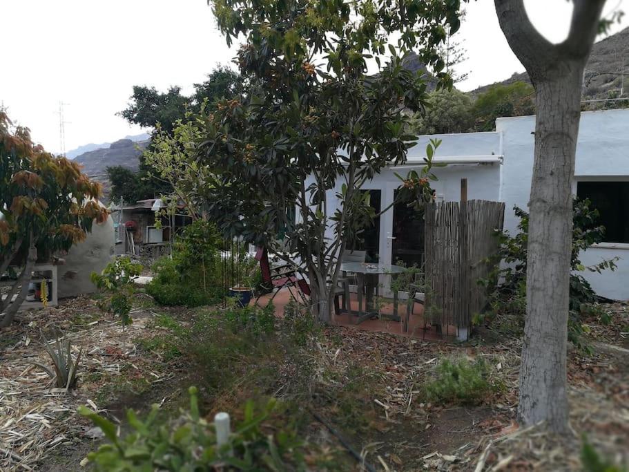 Auf Oeko-finca Mogán