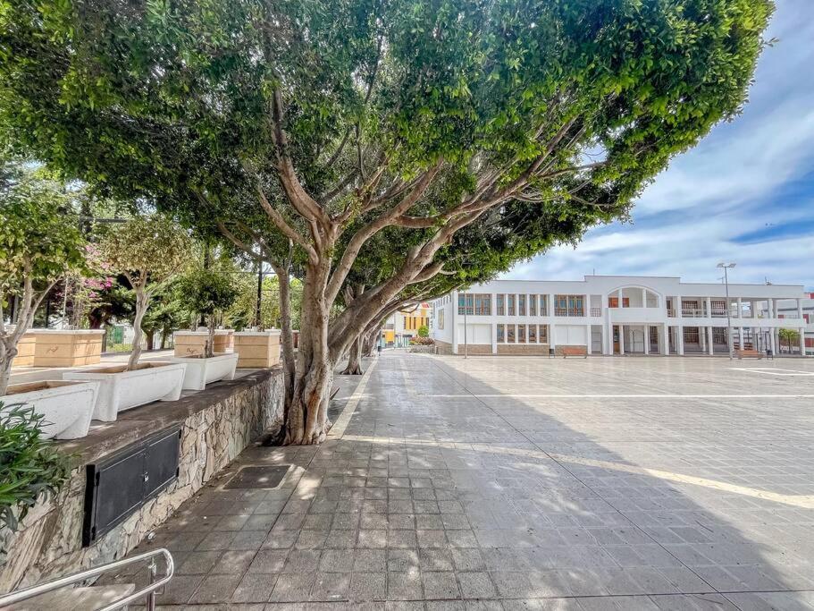 Apartment Piso De 3 En *