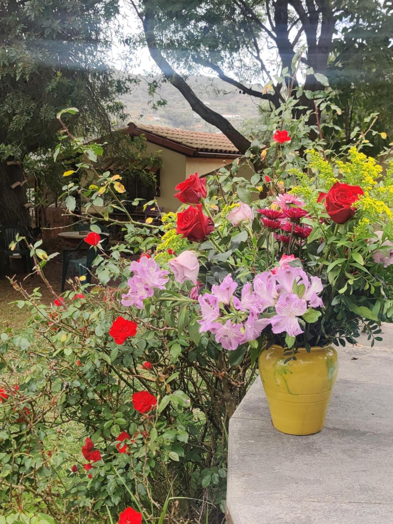 Estudio Wabi-sabi Alloggio in famiglia *