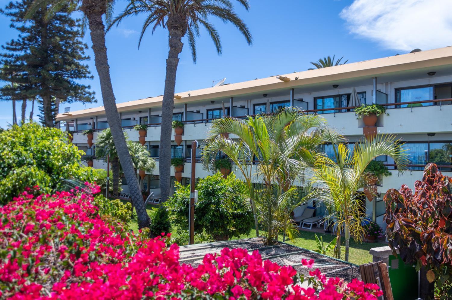Nogalera Maspalomas (Gran Canaria)
