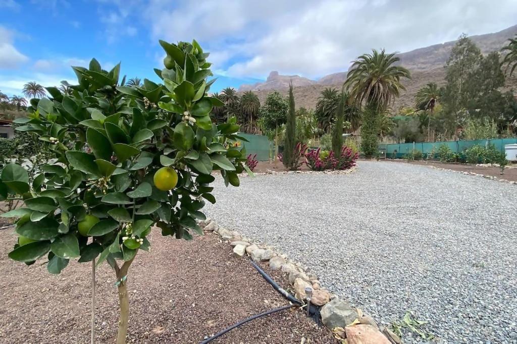 Renovated Tiny House Apartamento San Bartolomé
