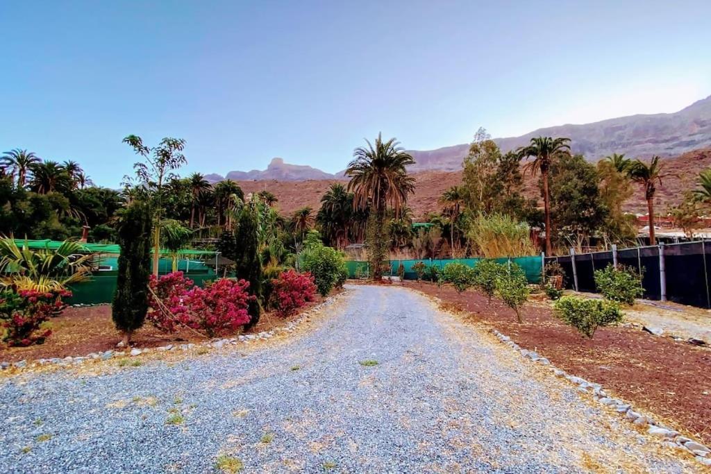 Renovated Tiny House San Bartolomé