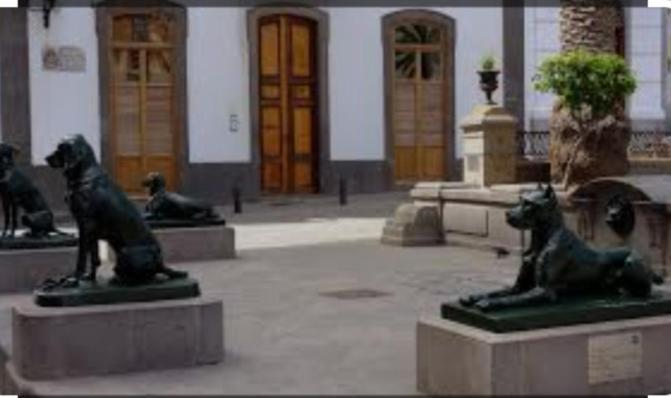 Casa Colonial Vegueta Appartamento *