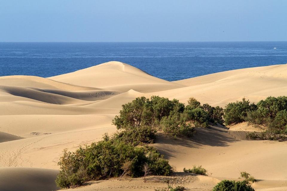 Maspalomas Maspalomas (Gran Canaria)