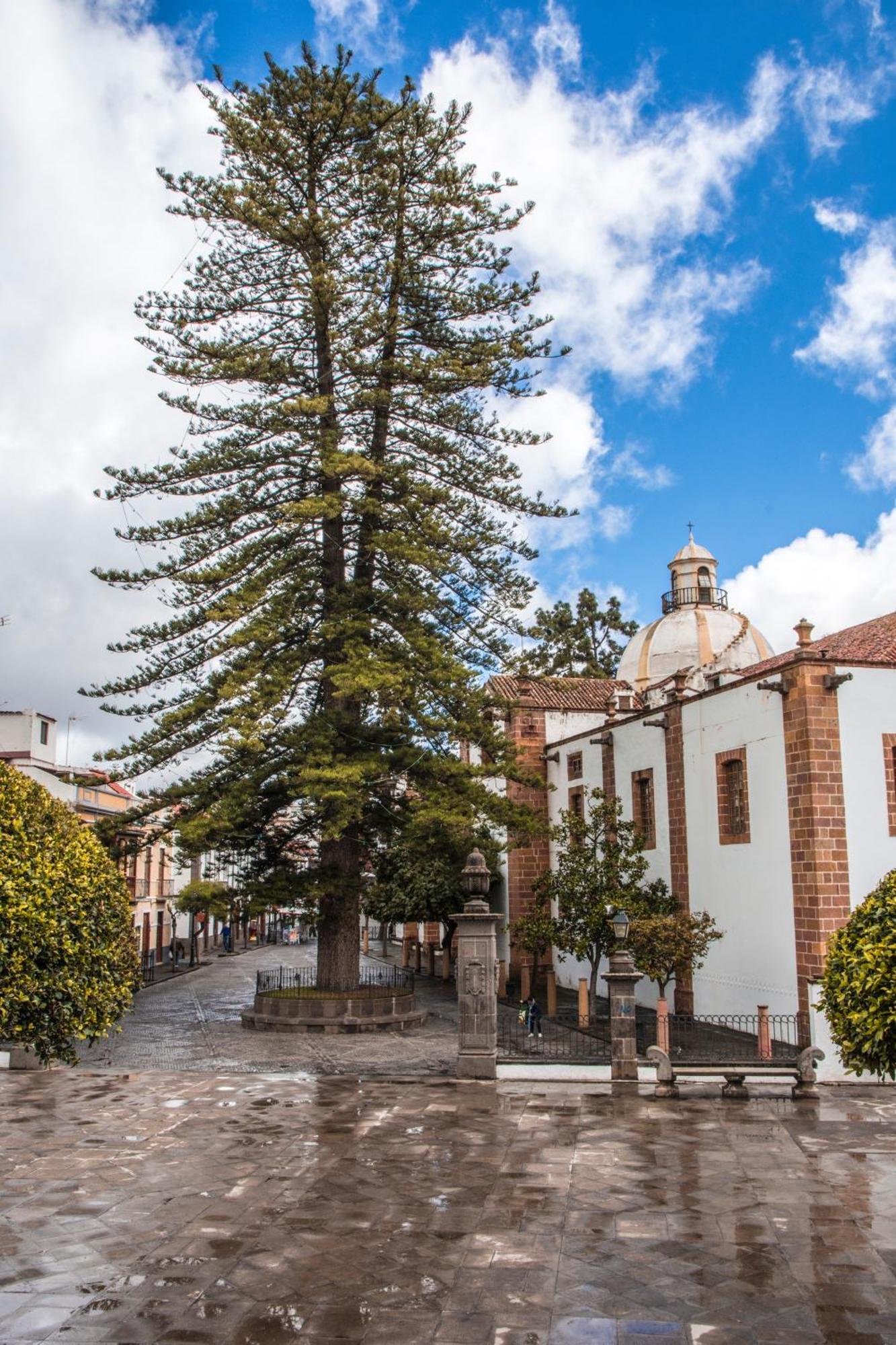 Сasa de vacaciones Florymar Ingenio