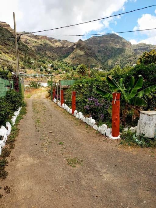 Tamadaba Holiday home
