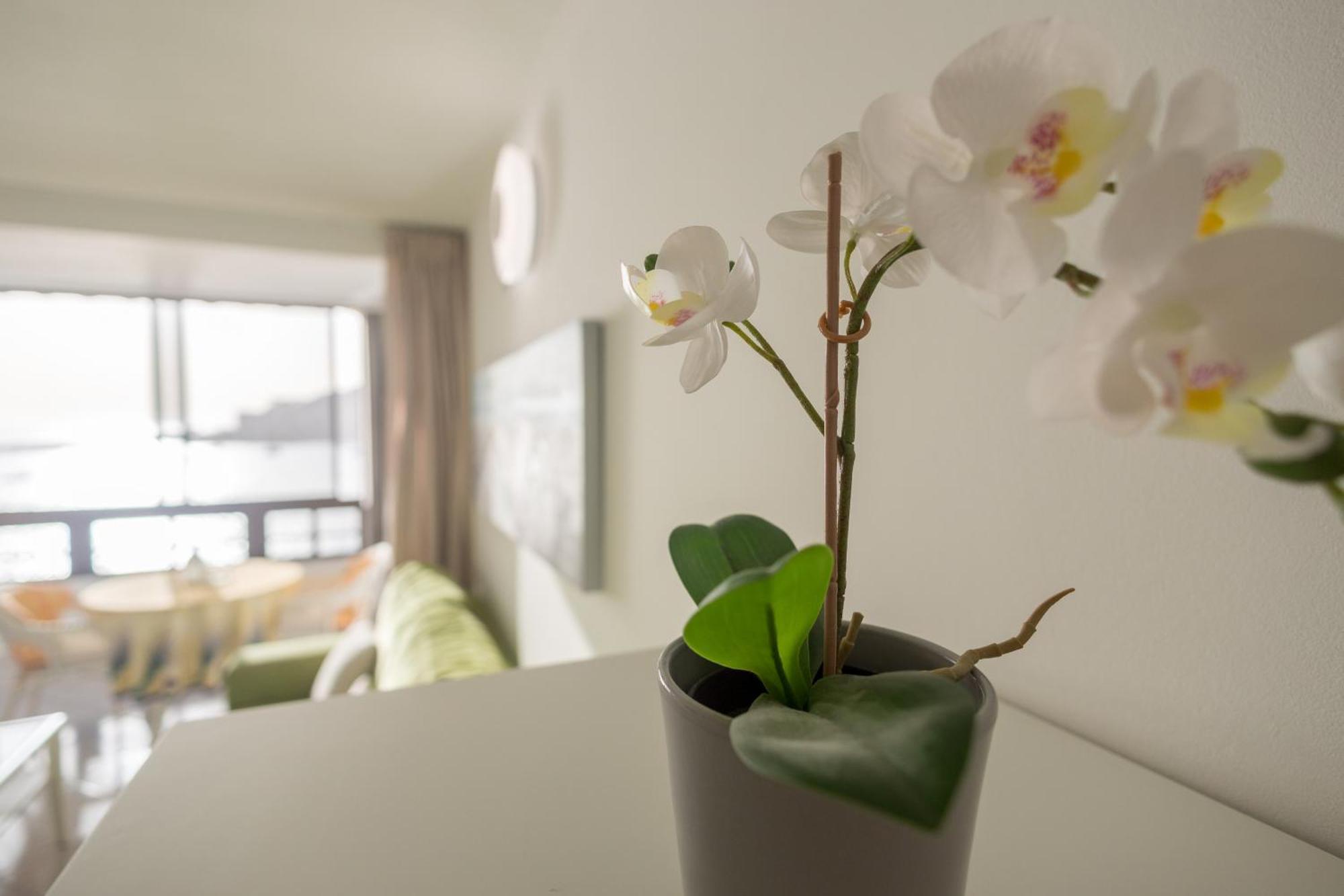 Apartamento Patalavaca 1st Line - Infinite Sea Views
