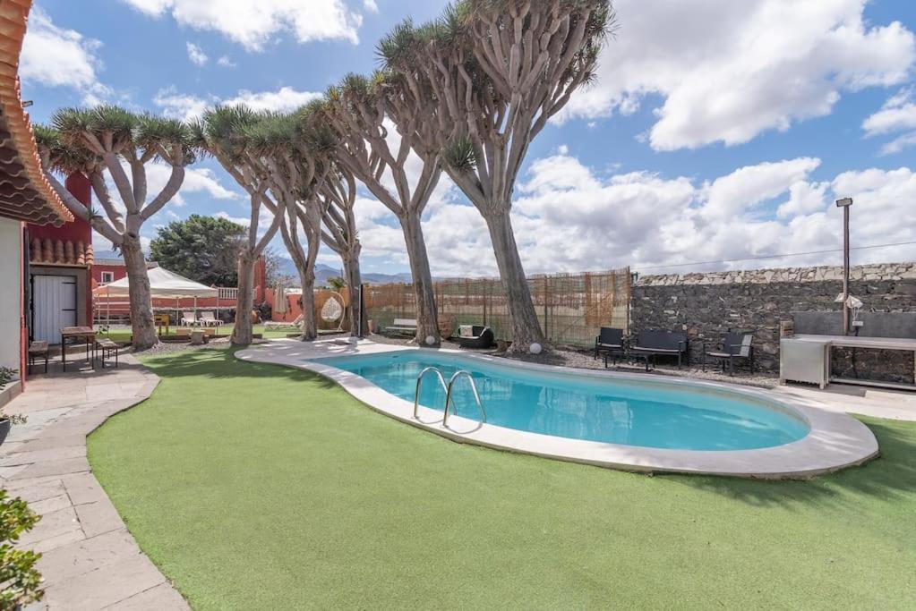 Drago Villa Telde