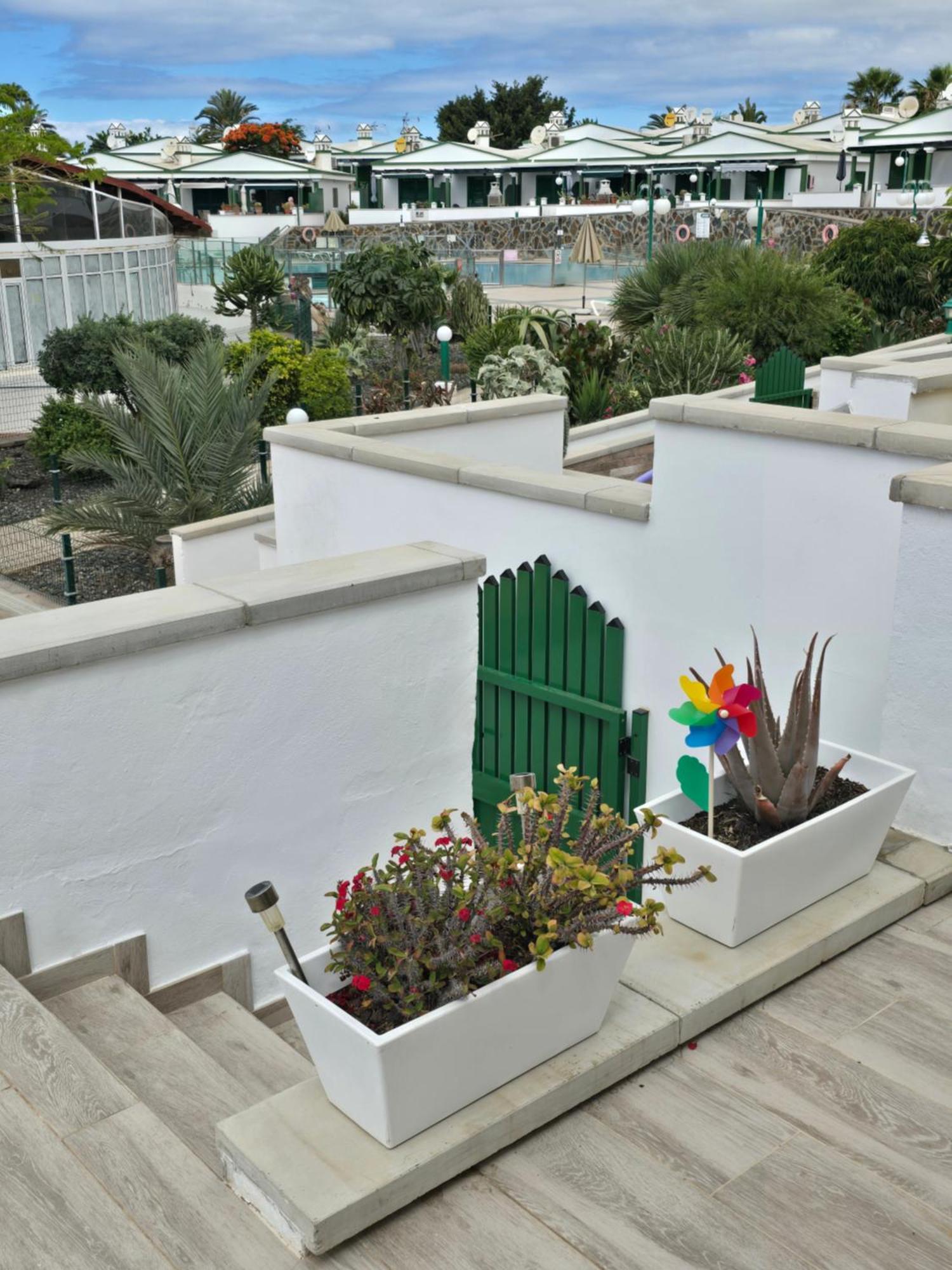 The Sunflower * Maspalomas (Gran Canaria)