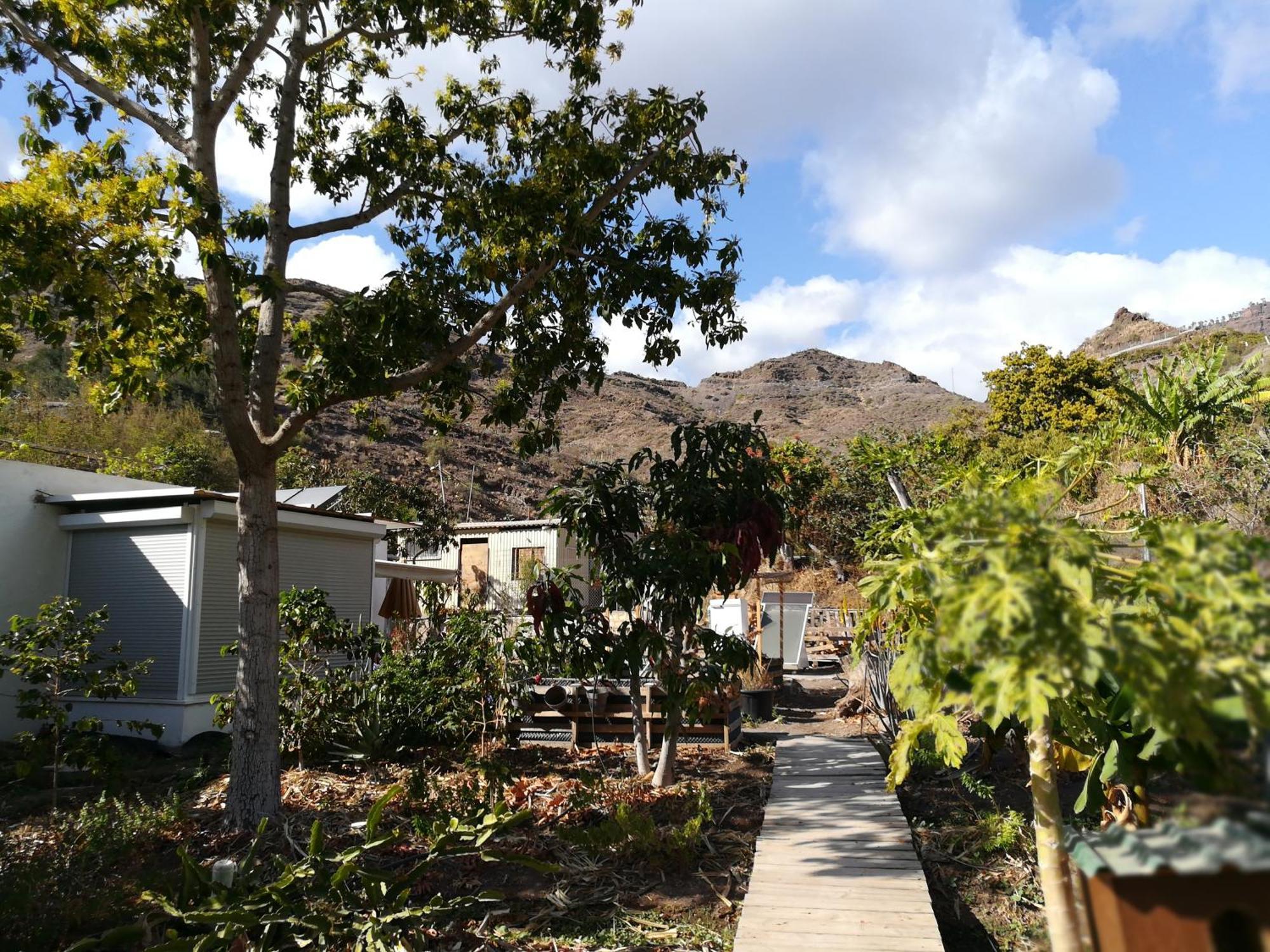 Auf Oeko-finca *