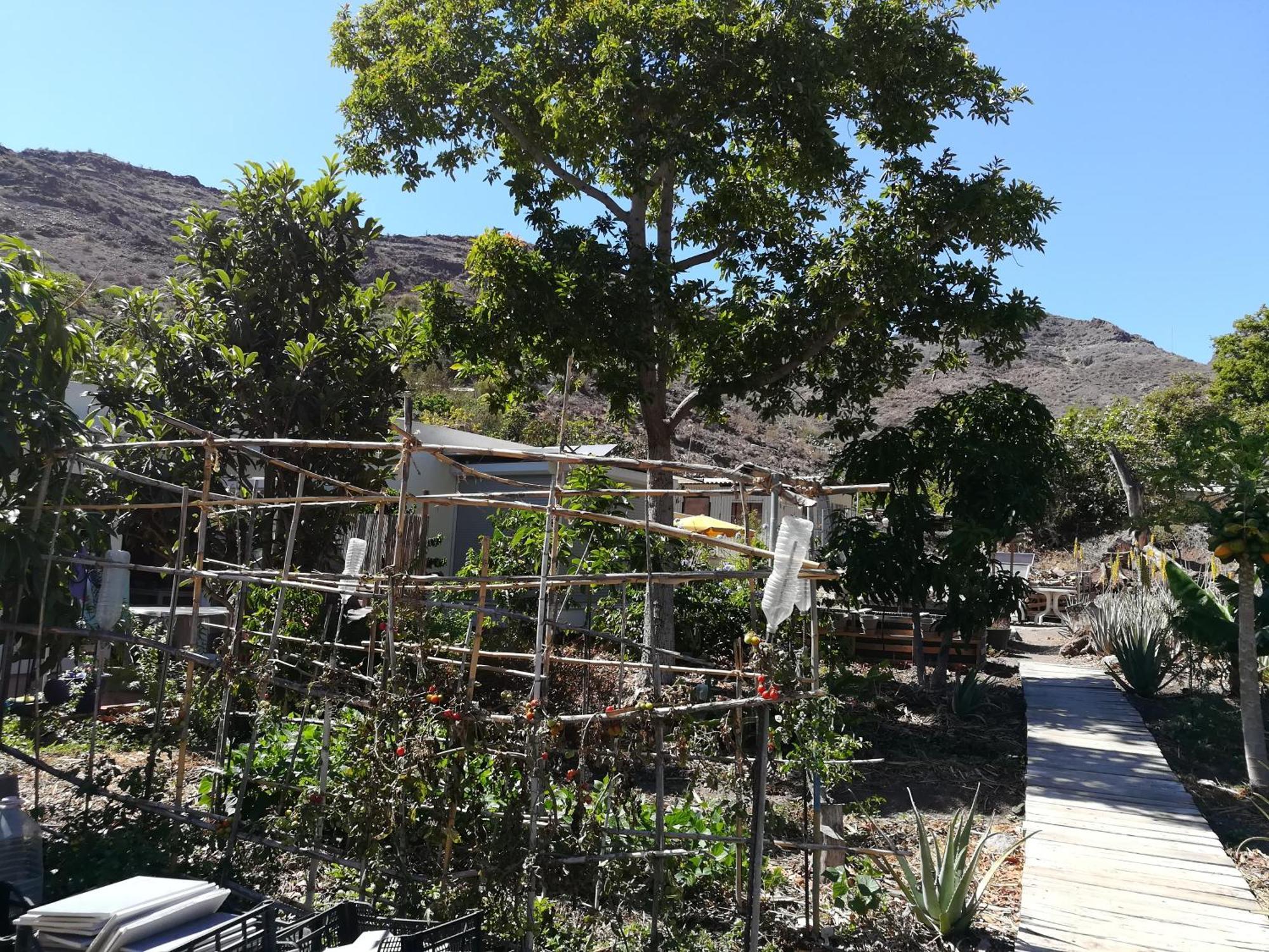 Apartamento Auf Oeko-finca Mogán