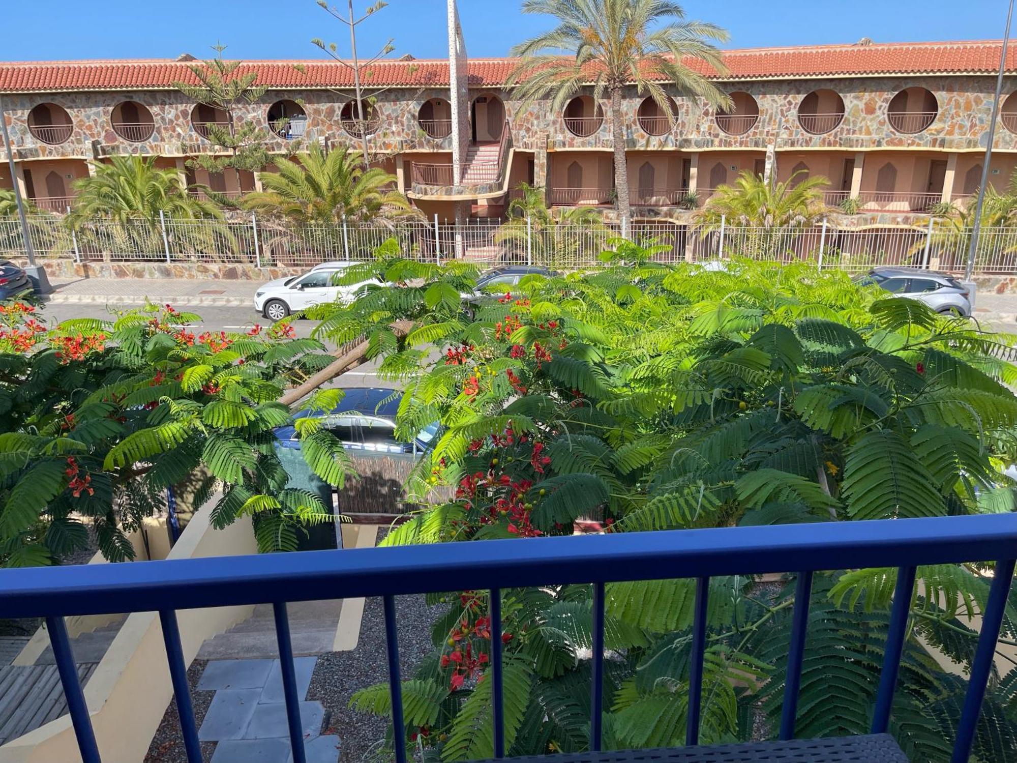- Maspalomas - Duplex Apartamento