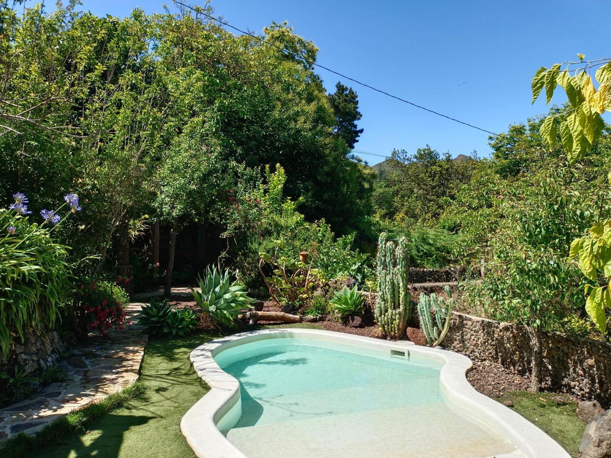 Matos Pool And Garden * Valleseco