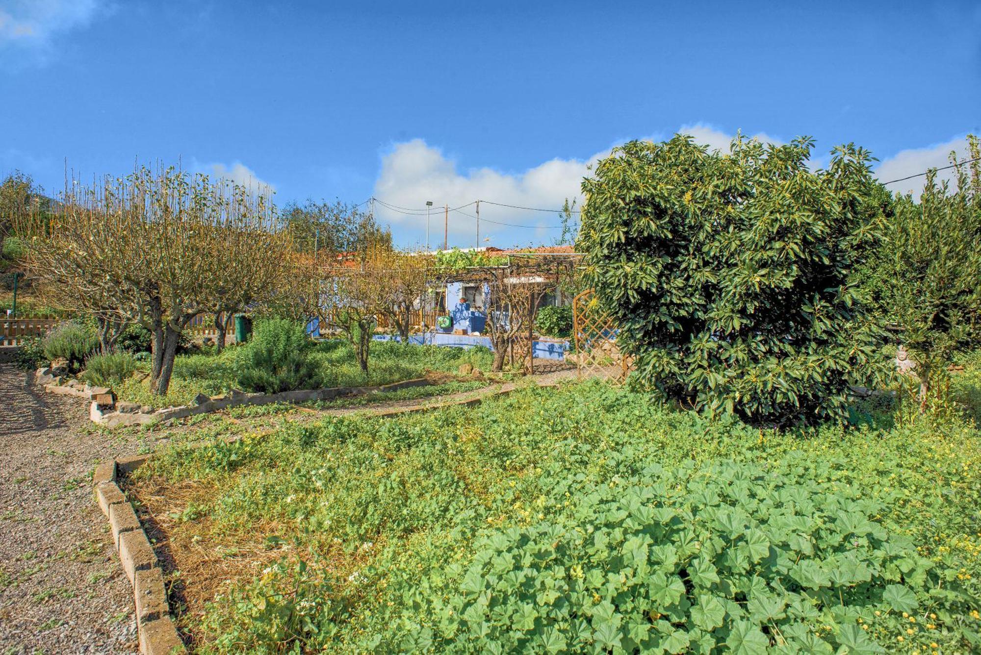 Holiday home La Lavanda *