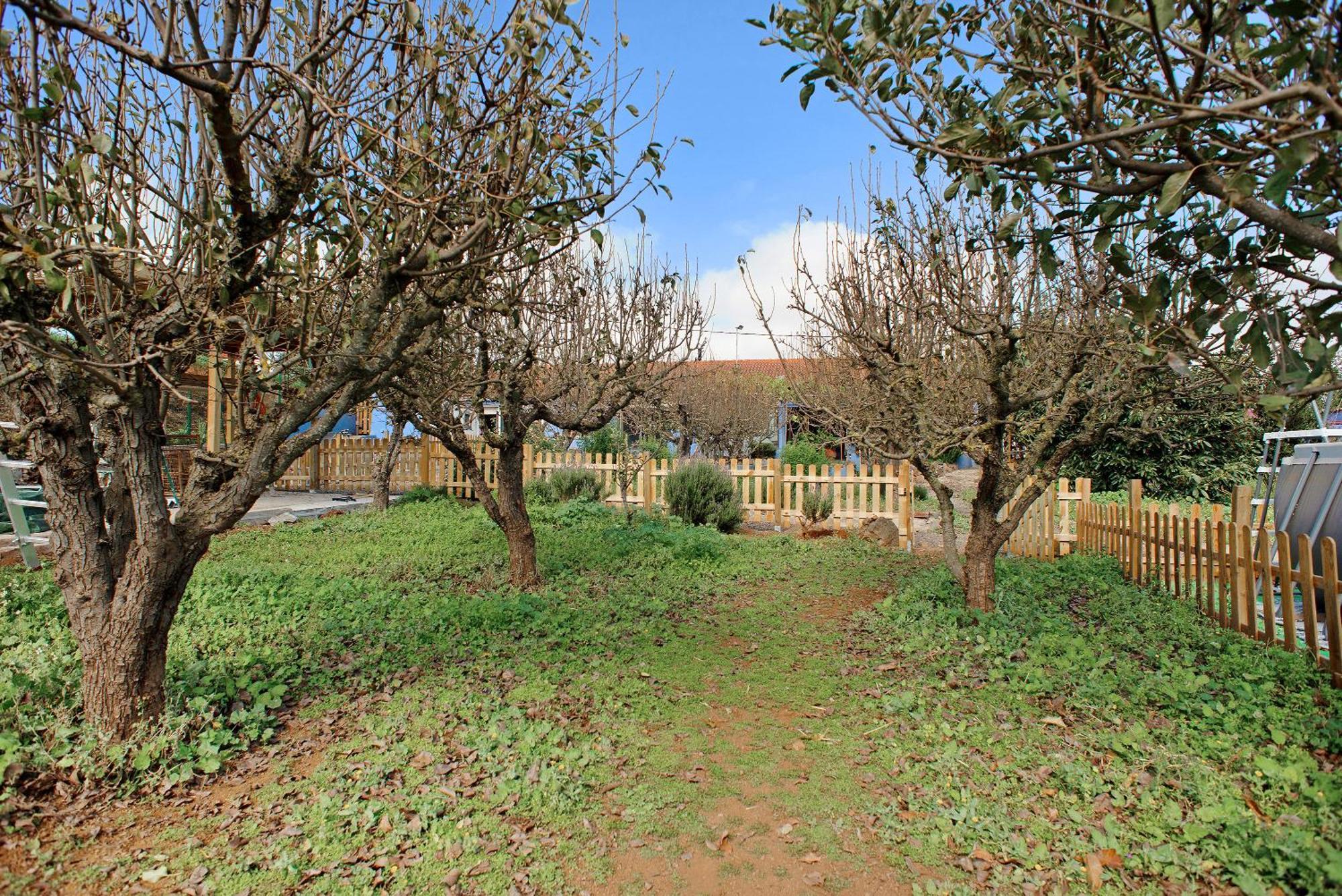 Holiday home La Lavanda Vega de San Mateo