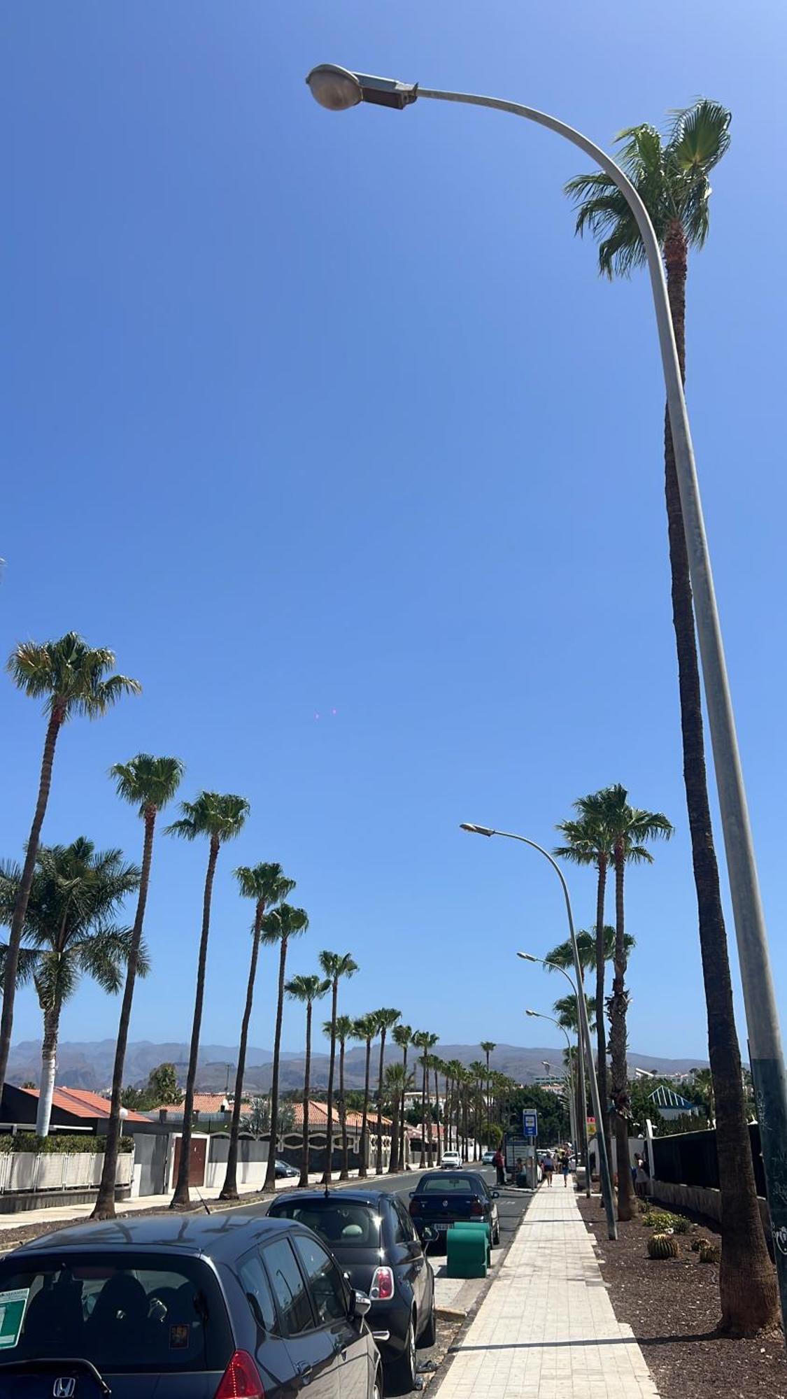 Maspalomas San Bartolomé
