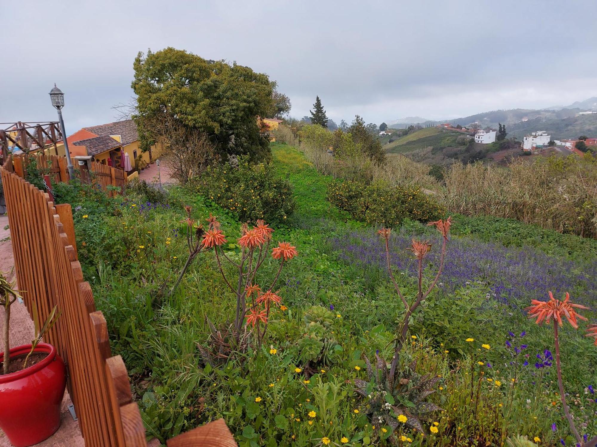 Naturacanaria Holiday home Moya (Gran Canaria)