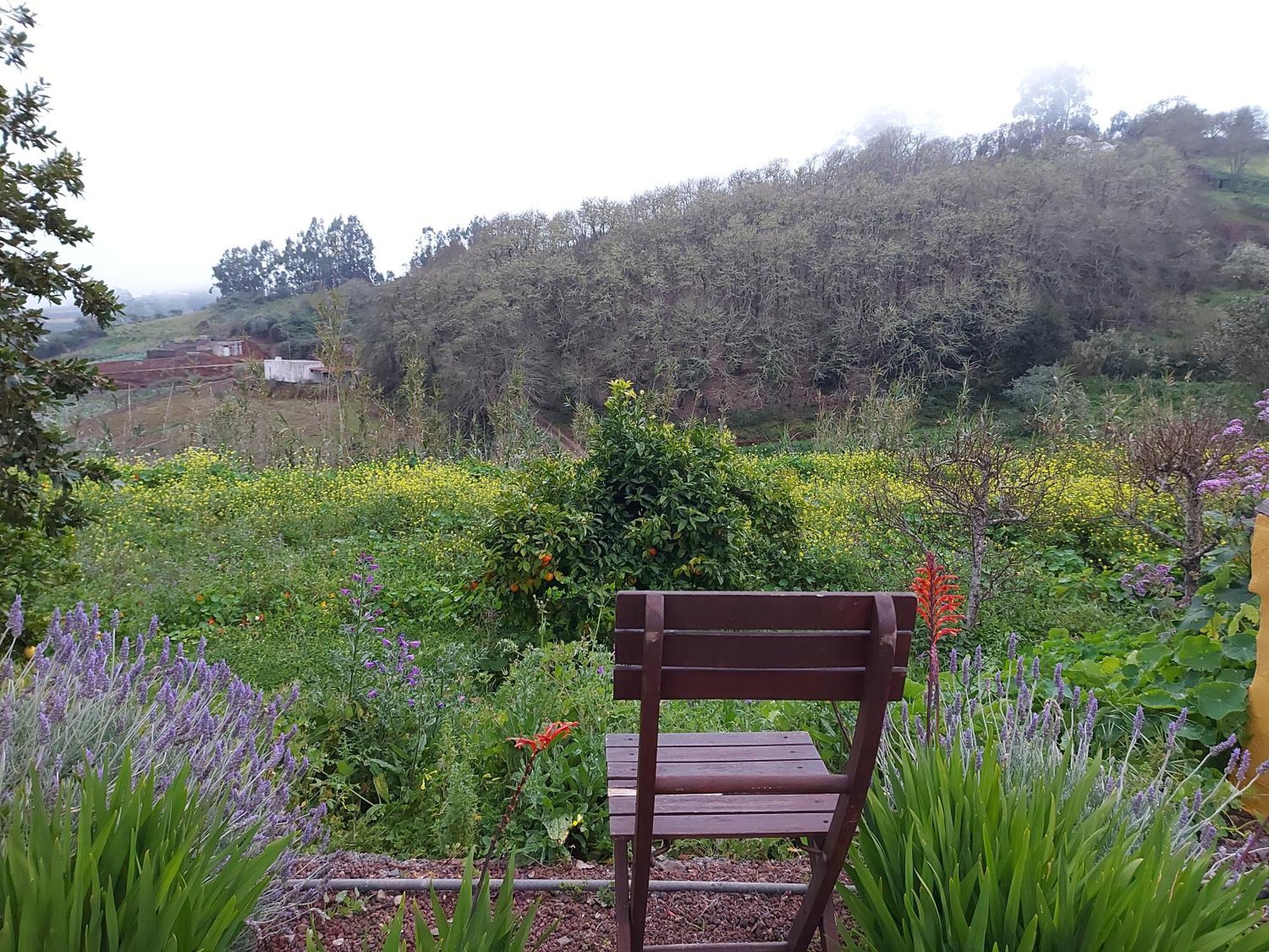 Holiday home Naturacanaria