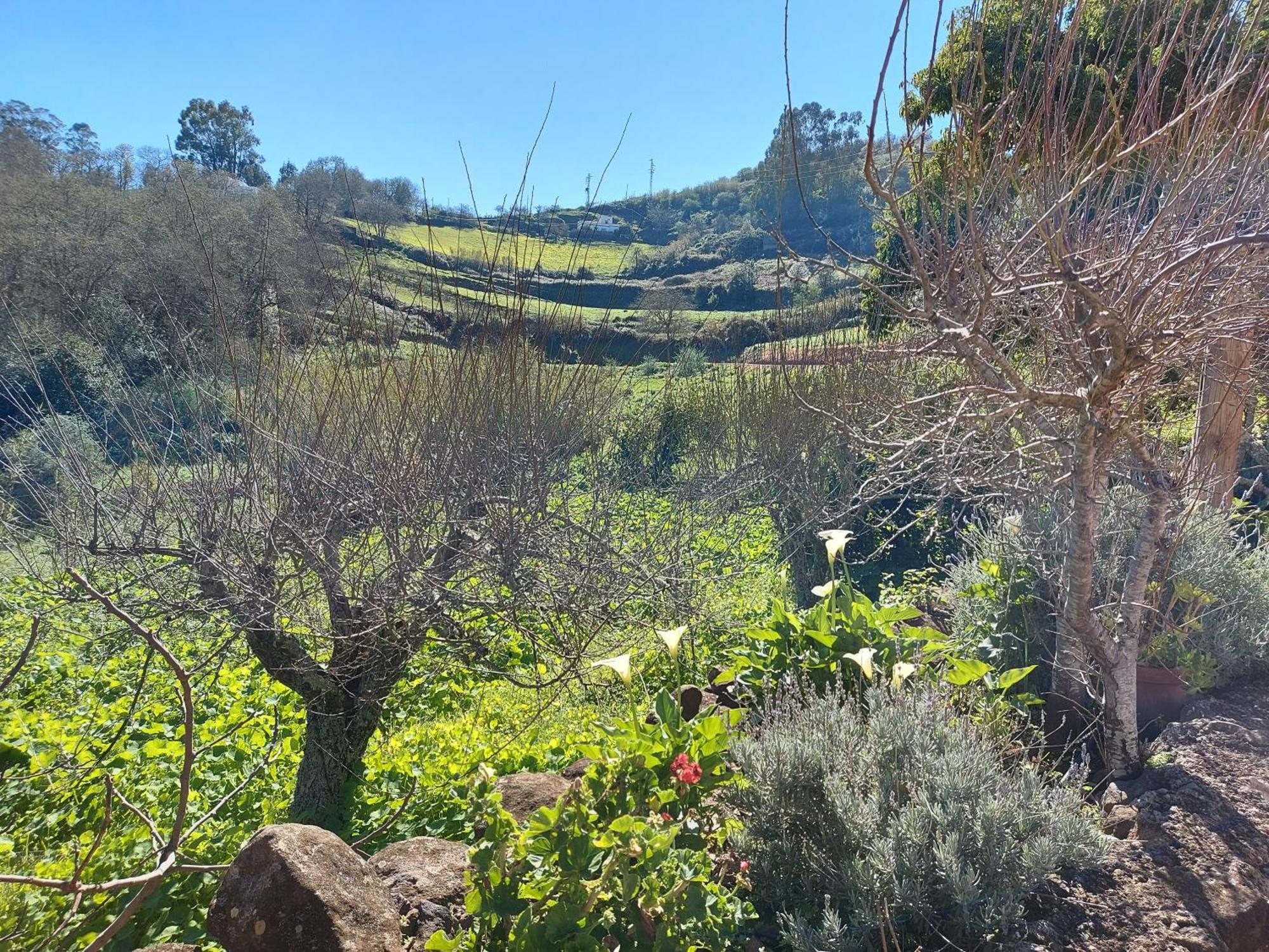 Naturacanaria Moya (Gran Canaria)
