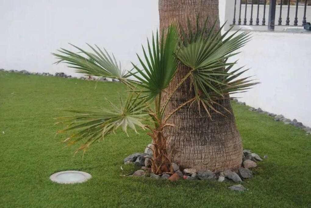 Appartamento Hábitat Tropical
