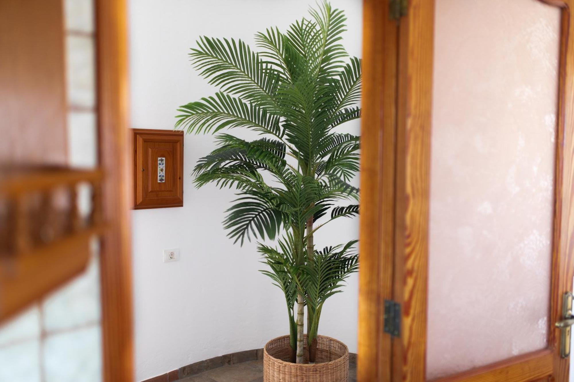 Casa Mia 1 Maspalomas Relax In An Exclusive Oasis Of Peace Just 10 Minutes From Lighthouse Apartment *